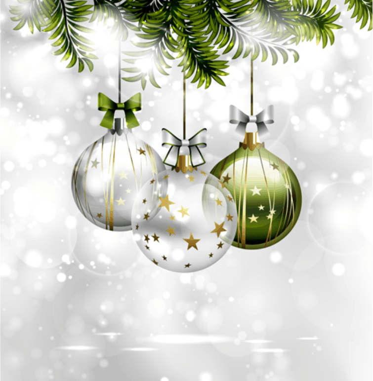 BPW Brampton Caledon Holiday Event